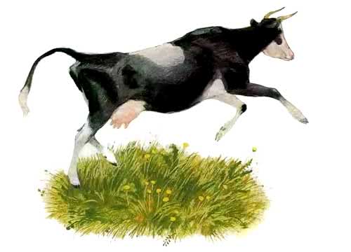 Бодливая корова - Ушинский К.Д.