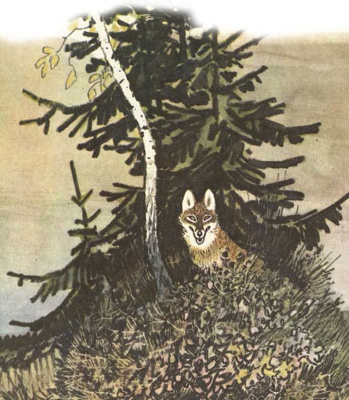 Полянка в лесу - Пришвин М.М.