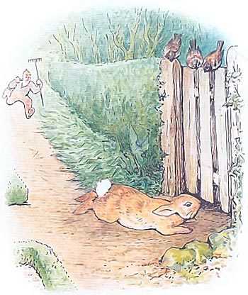 Сказка про Питера-кролика - Поттер Б.
